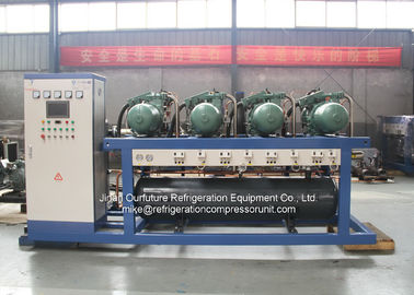 Unidade logística Chain 80HP do compressor da sala fria - 600HP para o fabricante de gelo