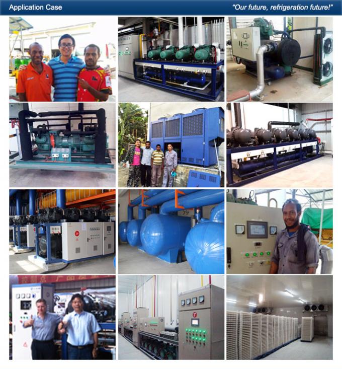 Unidade do compressor da refrigeração de Danfoss, unidade de condensação da refrigeração pequena do armazenamento frio