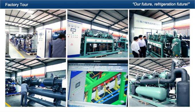 Unidade do compressor da refrigeração de Danfoss, unidade de condensação da refrigeração pequena do armazenamento frio