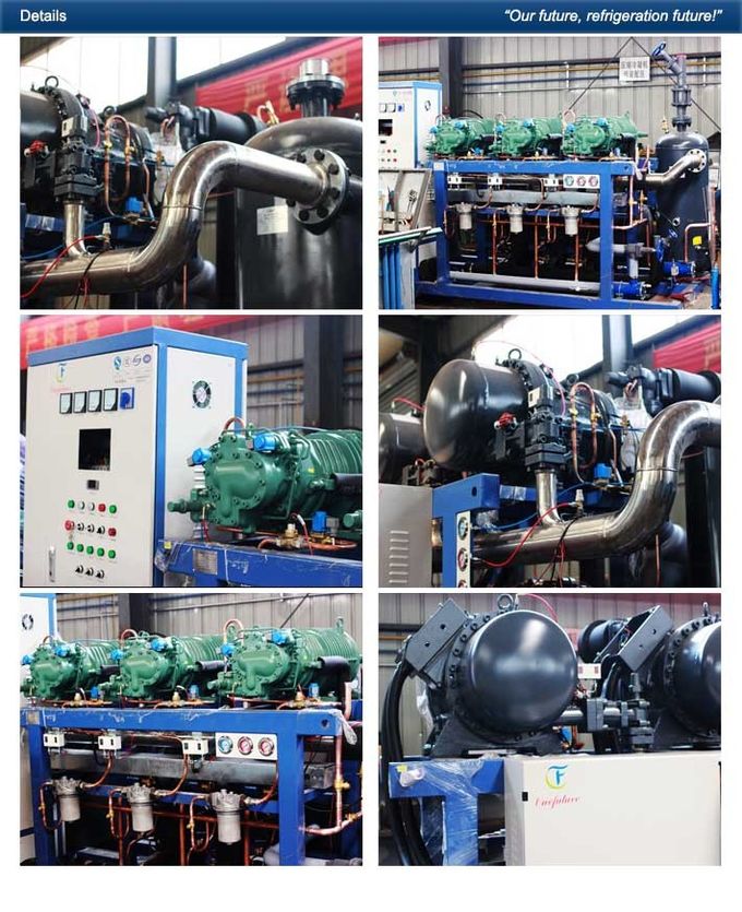 Cenoura de Anbell da unidade de refrigeração da sala fresca que Precooling o armazenamento frio 400hp