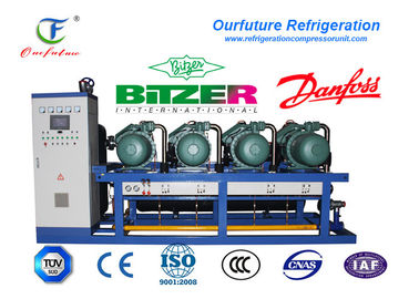 Unidade de armazenamento frio de condensação da unidade da sala fria para o armazenamento vegetal