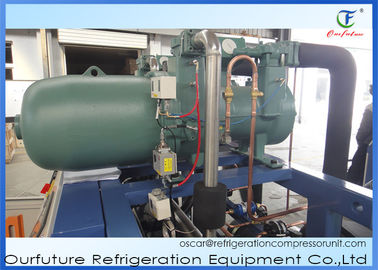 Unidades de refrigeração de condensação do parafuso da unidade do congelador de baixo nível de ruído para salas frias