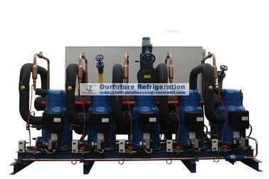 Enrole o tipo unidade de condensação com o compressor de Danfoss R404a e o controle do PLC para a loja fria